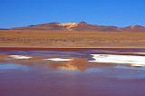 BOLIVIA 2 - Laguna Colorada - 13